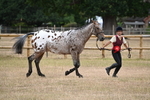 WJ6_8525