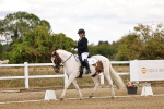 SBM_006354