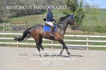 BPP_3113