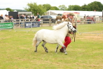 SBM_04372
