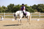 SBM_009356