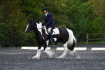 WJ5_8703