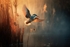 pr103 Ethereal Kingfisher
