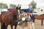Class 17 - Prettiest Mare (IH or Ridden) portfolio