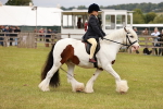 SBM_06230