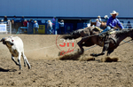 3HRodeo8-11-25_PRCASteer_01993_