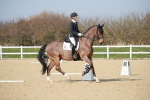 SBM_008350