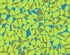 Abajur de folhas / Lampshade of leaves