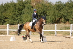 SBM_014731
