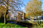 Autumn Totnes