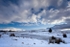 Beacons in the Snow