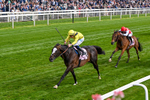150526-Race 5-Rahiebb-0295