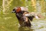 20140712-_MG_6690