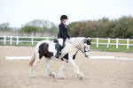 SBM_006566