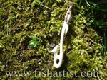 Fish Hook Bone Carving