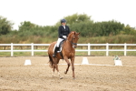 SBM_006819