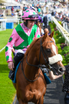 170523-Race 6-Mon Na Slieve-0732