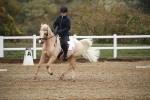 SBM_001456