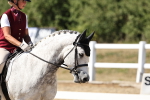 SBM_003350