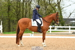 Cls 2B RoR Intro C portfolio