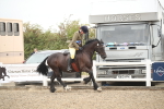 SBM_18429