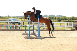 SBM_006905