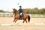 SBM_007455