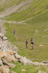 Ennerdale-154