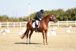 SBM_017038