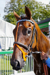 050926-Race 1-Prince Kameo-11