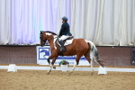 SBM_004883
