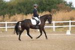 SBM_008445
