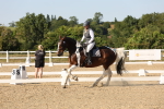 SBM_006998