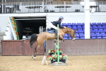 SBM_009989