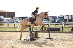 SBM_001641