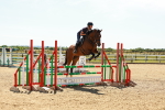 SBM_006691