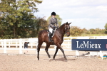 SBM_14420