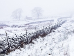 Winter in Wildboarclough (1)