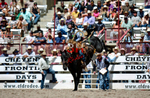 3HRodeo7-19-25_CFD_03845_