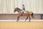 SBM_009501