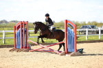 SBM_001181