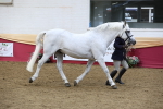SBM_23651