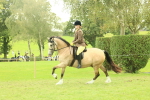 SBM_72038