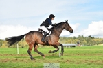 507-EDGEDALE.BLUE.LADY-Katie.Lavin-SC+XC portfolio