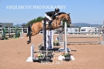 BPP_1367