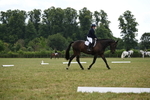 WJ6_7018