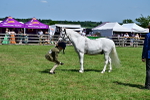 SBM_07816