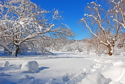 Out-and-About portfolio