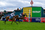 130626-Race 1-Dunkeld Dreamer-0556