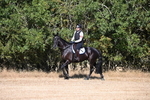 WJ6_6733